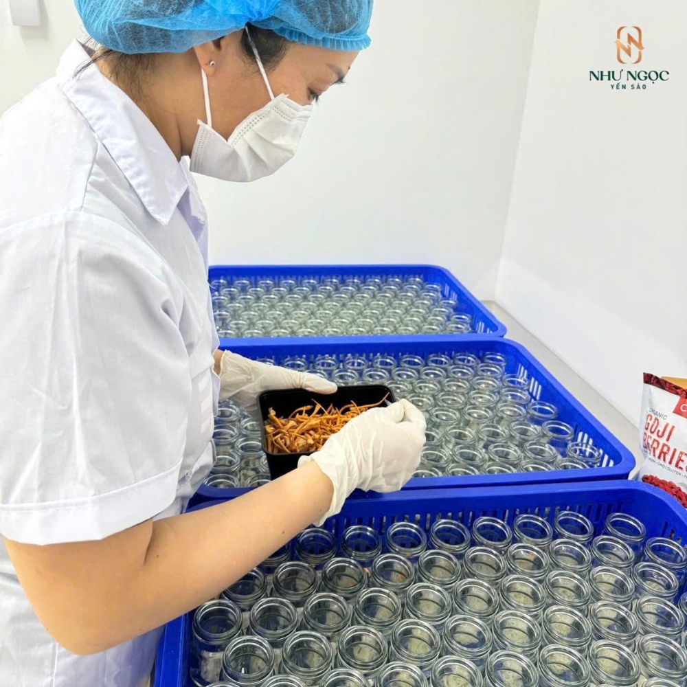 tham quan xưởng nhặt yến